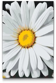 Gario Maľovanie podľa čísel Kvet sedmokrásky Rozmery: 60 x 80 cm, Rámovanie: S vnútorným rámom