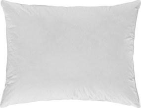 XXXLutz VANKÚŠ, 70/90 cm Sleeptex - Prikrývky & vankúše - 007992041001