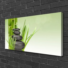 Obraz Canvas Bambus tráva rastlina príroda 120x60 cm