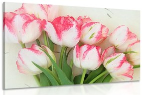 Obraz jarné tulipány - 90x60