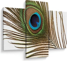 Obraz pávieho peria (90x60 cm)