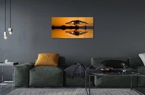 Obraz na skle Sunset tree 100x50 cm
