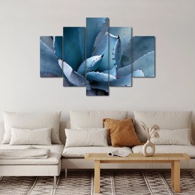 Obraz - Agáve (150x105 cm)