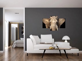 Obraz - Slon africký (90x60 cm)