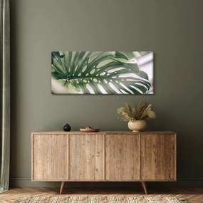 Obraz - List monštier (120x50 cm)