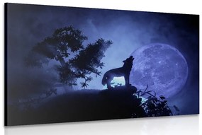 Obraz vlk v splne mesiaca Varianta: 60x40