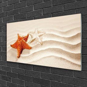 Skleneny obraz Hviezdice na piesku pláž 140x70 cm