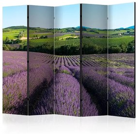 Paraván - Lavender fields II [Room Dividers]