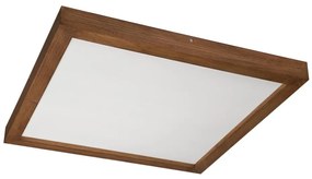 Brilagi - LED Kúpeľňové svietidlo WOODY FRAME LED/50W/230V 60x60 IP44 dub čerešňa