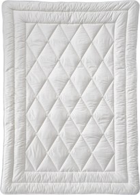 XXXLutz LETNÁ PRIKRÝVKA, 135/200 cm, bavlnená výplň Billerbeck - Prikrývky & vankúše - 003279001901