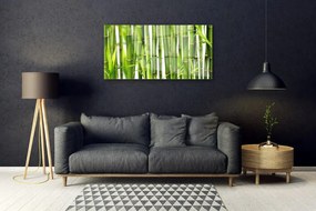 Skleneny obraz Bambusové výhonky listy bambus 125x50 cm
