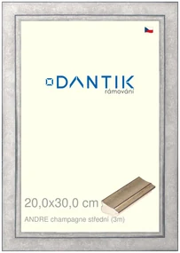 DANTIK rám na obraz 20x30 | ANDRE champagne střední (Sklo Čiré)