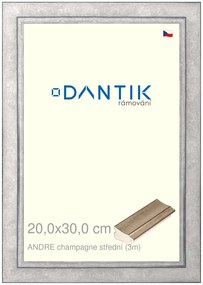 DANTIK rám na obraz 20x30 | ANDRE champagne střední (Sklo Čiré)