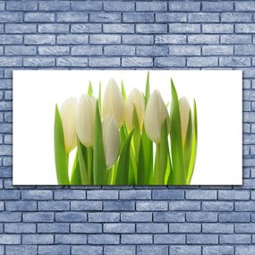 Obraz na akrylátovom skle Tulipány rastlina príroda 120x60 cm