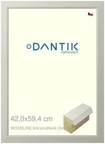 DANTIK rám na obraz 42x59,4 | WOODLINE bílá prodřená (Plexi Čiré)