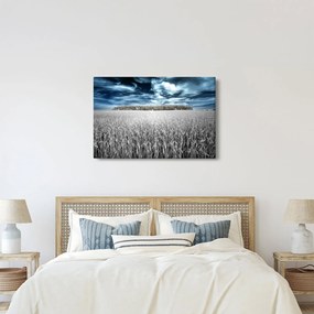 Obraz pole (90x60 cm)