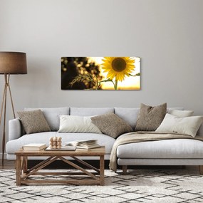 Obraz slnečnice (120x50 cm)