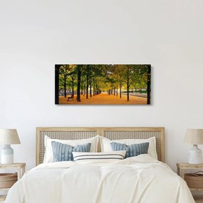 Obraz aleje jesenných stromov (120x50 cm)