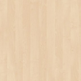 Šatníková skriňa s výsuvom PRIMO GRAY, 1781 x 800 x 420 mm, sivá/breza