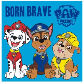 DETSKÝ LISOVANÝ BAVLNENÝ UTERÁK PAW PATROL 30X30 CM VZOROVANÝ
