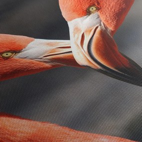 Obraz dvoch zamilovaných plameniakov (150x105 cm)