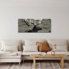 Obraz - Jeleň (120x50 cm)