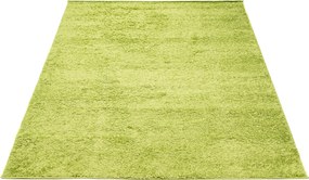 TA Koberec 7388A ZELENÁ DELHI SFB