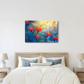 Obraz - Oranžové kvety (90x60 cm)