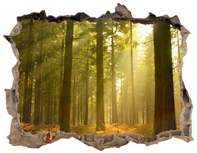 Díra 3D ve zdi nálepka Forest na slnku nd-k-27621934