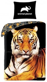HALANTEX -  HALANTEX Obliečky Animal Planet Tiger Bavlna, 140/200, 70/90 cm