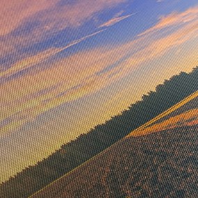 Obraz žltého auta v poli (120x50 cm)