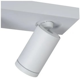 Lucide 09930/10/31 - LED Stmievateľné bodové svietidlo TAYLOR 2xGU10/5W/230V IP44