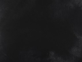 Sada 2 vankúšov z umelej kožušiny 42 x 42 cm čierna EHNAR Beliani