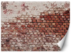 Gario Fototapeta Stará farebná tehlová stena Materiál: Vliesová, Rozmery: 100 x 70 cm
