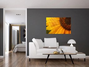 Obraz - Slnečnica (90x60 cm)