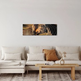 Obraz - Dve zebry (s hodinami) (90x30 cm)