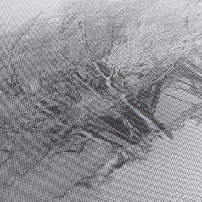 Obraz - Biela zima (120x50 cm)