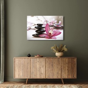 Obraz masážnych kameňov a orchidey na vode (90x60 cm)