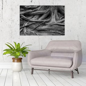 Obraz - Korene stromu (90x60 cm)