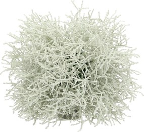 Dekorácie Grass ⌀20cm