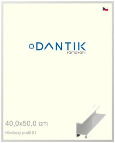 DANTIK rám na obraz 40x50 | ALU Stříbrná lesklá (Plexi Čiré)