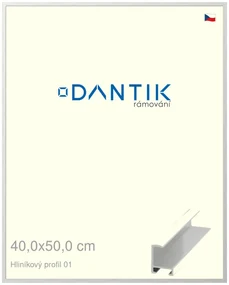 DANTIK rám na obraz 40x50 | ALU Stříbrná lesklá (Plexi Čiré)