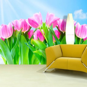 Sablio Tapeta Ružové tulipány - 208x125 cm