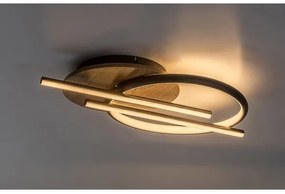 Rabalux 71404 - LED Stropné svietidlo ARASH LED/40W/230V 3000/4000/6500K