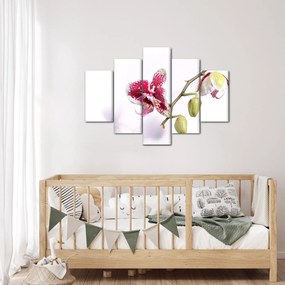 Obraz kvetu orchidey (150x105 cm)