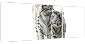 Obraz - Biely tiger (s hodinami) (90x30 cm)