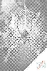 Gario Bodkovanie Pavúk v sieti Rozmery: 40 x 60 cm, Rámovanie: S vnútorným rámom, Farba bodiek: Čierna