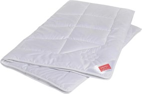 XXXLutz CELOROČNÁ PRIKRÝVKA, 140/200 cm, HEFEL - Prikrývky & vankúše - 004636004403