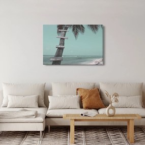 Obraz - Palma v Karibiku (90x60 cm)