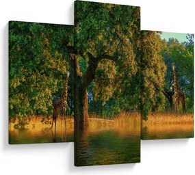 Obraz žirafy v prírode (90x60 cm)